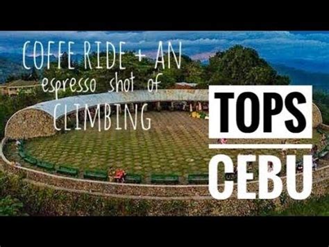 steer in tagalog|steep in Tagalog .